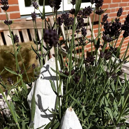 Casa de Férias Maltes Hues